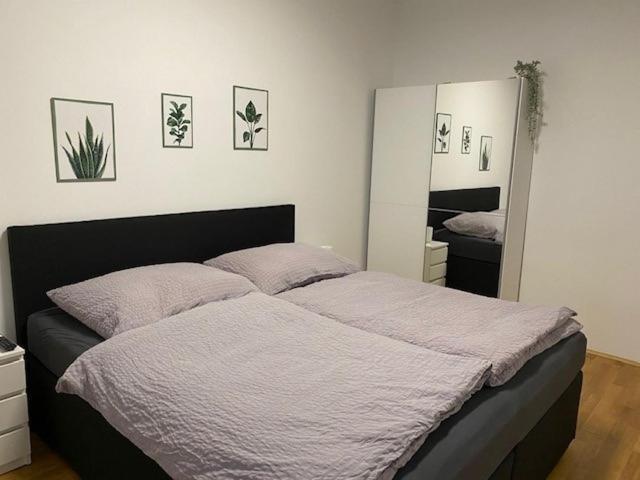 Paky Appartements 00322 Bruck-Leitha Dış mekan fotoğraf